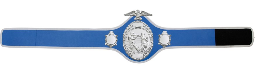 BOXING CHAMPIONSHIP BELT-PRO288/S/BOXS-10 COLOURS BOXING CHAMPIONSHIP BELT-PRO288/S/BOXS-10 COLOURS